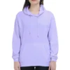 Lavender Womens Plain Hooded Sweatshirt_zinotch_SGEGS