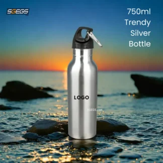 750ml-Trendy-Silver-Bottle-06-sgegs