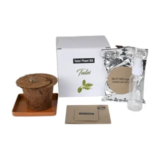 Tulsi-Plantation-Kit-in-White-Box-corporate-gift-sgegs-01