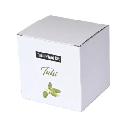 Tulsi-Plantation-Kit-in-White-Box-corporate-gift-sgegs-02