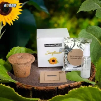 03 Sunflower Plantation Kit in White Box SGEGS
